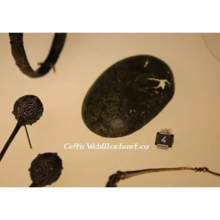 Broche Tortue, Dorestad 10 Broche Tortue, Dorestad -Promos Halloween Boutique broche tortue dorestad 3