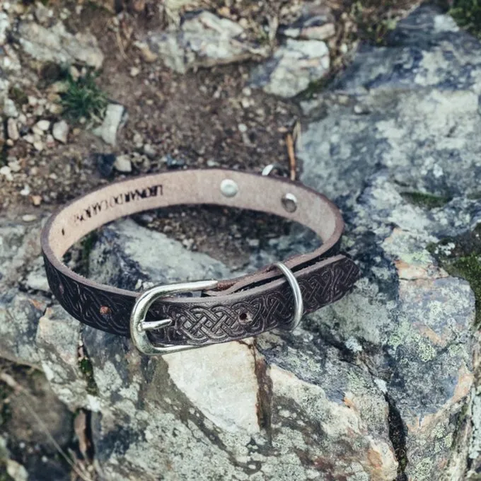 Leonardo Carbone Collier De Chien Celtique, Brun 3 Leonardo Carbone Collier De Chien Celtique, Brun