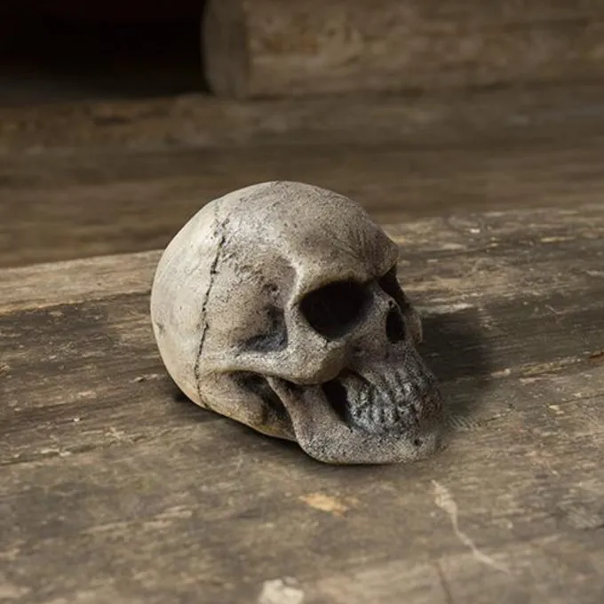 Epic Armoury Crâne De GN 4 Epic Armoury Crâne De GN – Image 2