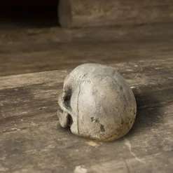 Epic Armoury Crâne De GN 7 Epic Armoury Crâne De GN -Promos Halloween Boutique crane de gn 2