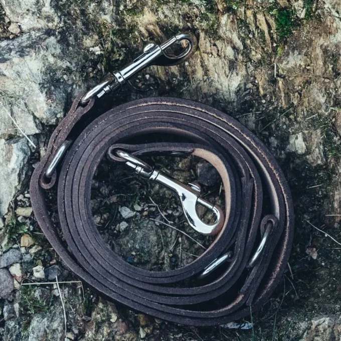 Leonardo Carbone Ensemble Laisse Et Collier De Chien Celtique, Marron 5 Leonardo Carbone Ensemble Laisse Et Collier De Chien Celtique, Marron – Image 3