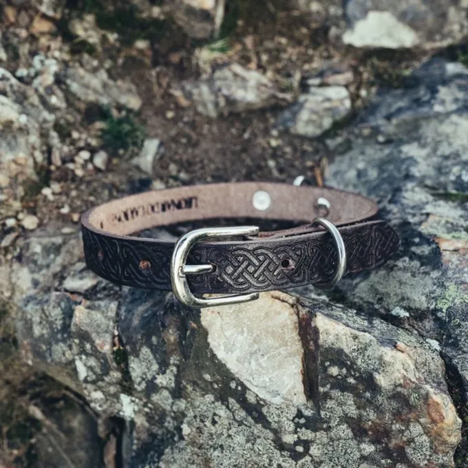 Leonardo Carbone Ensemble Laisse Et Collier De Chien Celtique, Marron 3 Leonardo Carbone Ensemble Laisse Et Collier De Chien Celtique, Marron