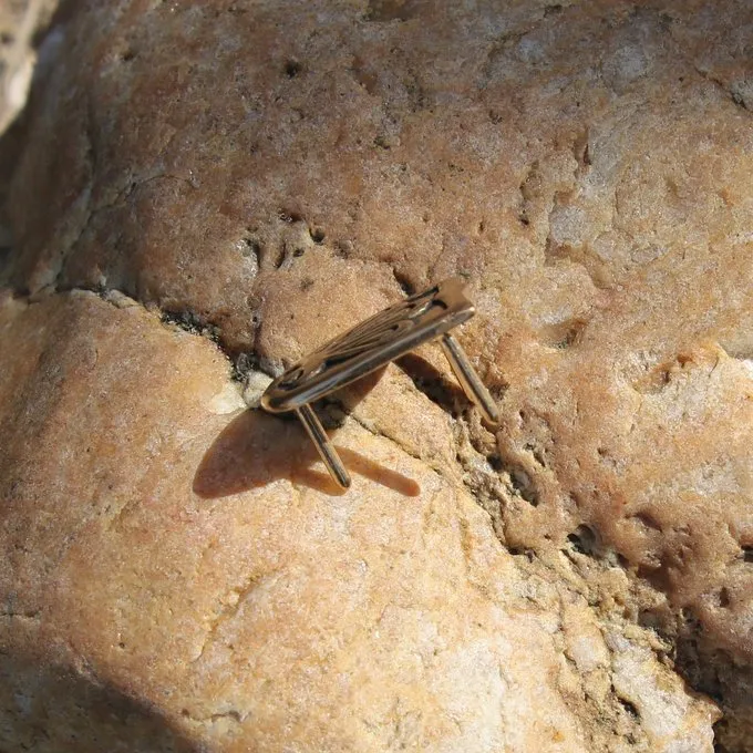 Languette De La Ceinture Viking Birka 6 Languette De La Ceinture Viking Birka – Image 4