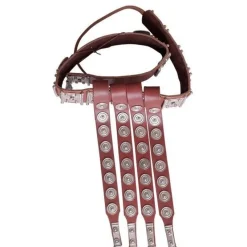 Deepeeka Tekjie Cingulum